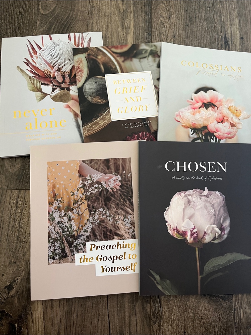 Daily Grace Co Bible Study Books